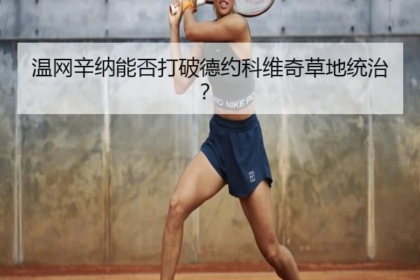 温网辛纳能否打破德约科维奇草地统治？